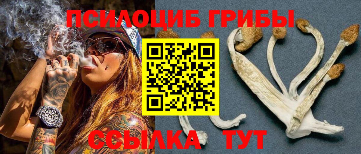 Псилоцибиновые грибы Cubensis Батайск
