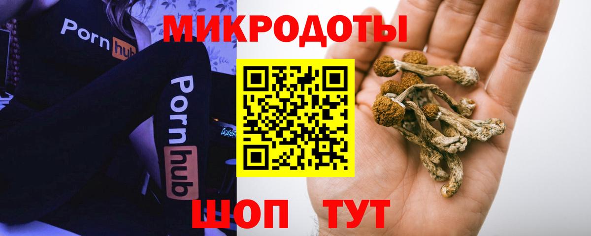 Батайск  Псилоцибиновые грибы прущие грибы  Вход с VPN 